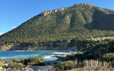 Wycieczka fakultatywna, Marathon [109] Jeep Safari - Narodowy Park Akamas z Ayia Napa