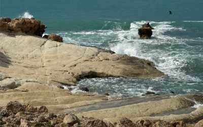 Wycieczka fakultatywna, Marathon [1] Jeep Safari - Narodowy Park Akamas z Larnaki